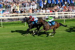 240726-Race 2-Vaguely Royal-0237