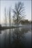 River dawn 1