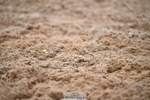 260829B-103309-00280