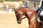 SBM_001508