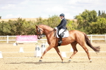 SBM_009409