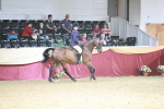 SBM_08270