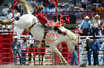 3HRodeo7-19-25_CFD_02210_