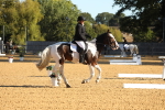 SBM_16462