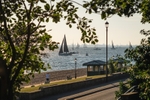 z4456 Round the Island Race Cowes