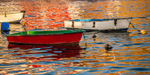 Sagres Port 7439