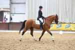 SBM_009947