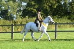 SBM_56395