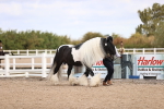 SBM_09279