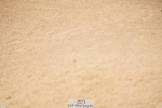 240317A-121056-05864