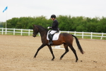 SBM_005375
