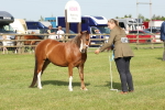 SBM_00652