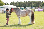 SBM_08880