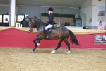 SBM_17799