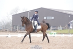 Cls 6 Premier League FEI Prix St Georges portfolio