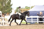 SBM_00236