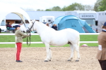 SBM_05896