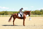 SBM_000178