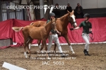 JAC_5051