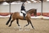 BPP_9028