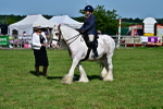 SBM_09376