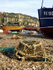 Hastings