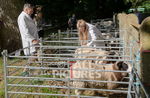 North Show_2014-7