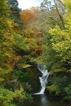 Autumn Waterfall In North Wales