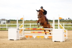 SBM_009186