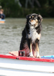 120701 MAVIS WT7A4307
