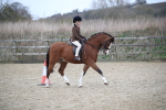 SBM_005892