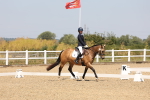 SBM_004384