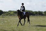 BVHT 140517 -29