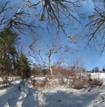Radical departure - Fruitlands 
