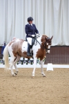 SBM_018911