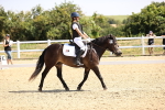 SBM_003516