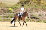 SBM_010645