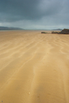 Linsfort Strand (07010349)