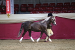 SBM_06530