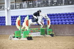 SBM_009936
