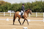 SBM_000490