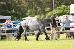 SBM_02482