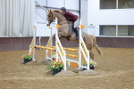 SBM_005216