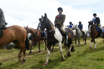 Redeswire Rideout 2025 portfolio