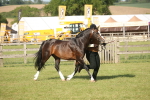 SBM_10383