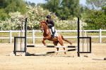 SBM_007490