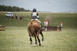 BVHT 140517  NXC -37