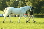 SBM_57292