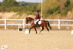 SBM_018635