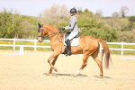 SBM_008436